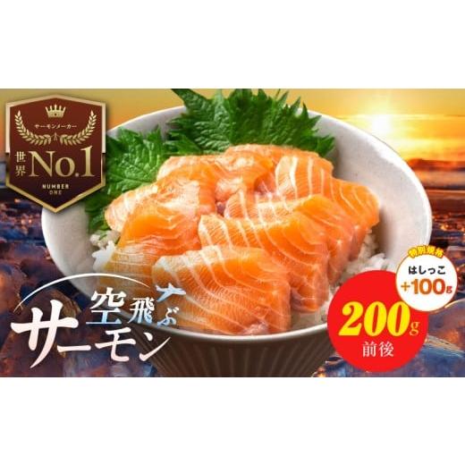 ふるさと納税 魚貝類 サーモン 大阪府 泉佐野市 特別規格 アトランティック サーモン 200g+はしっこ100g エコパック 小分け 訳あり サイズ不揃い 刺身 さー…