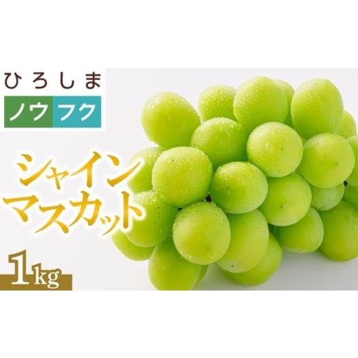 ふるさと納税 ぶどう マスカット 広島県 竹原市 2026年先行受付 シャインマスカット 2房 1kg | ぶどう マスカット 高糖度 宗越園 農福連携