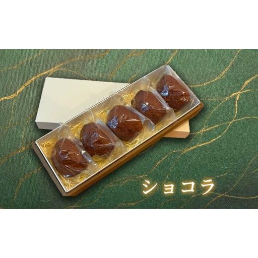 ふるさと納税 焼菓子・チョコレート マドレーヌ 京都府 宇治市 マドレーヌ(ショコラ・5個) uj-FQ003-B 洋菓子のお店Lumiere ショコラ