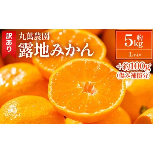 ふるさと納税 果物類 みかん 高知県 香南市 2026年出荷分 露地みかん(Lサイズ) 5kg 家庭用 丸萬農園 - 果物 くだもの フルーツ 果実 柑橘 かんきつ 蜜柑 みか…