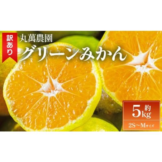 ふるさと納税 果物類 みかん 高知県 香南市 2026年出荷分 グリーンみかん(2S〜Mサイズ) 5kg 家庭用 丸萬農園 果物 くだもの フルーツ 果実 柑橘 かんきつ 蜜…
