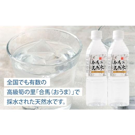 ふるさと納税 水・ミネラルウォーター 500mL〜999mL 福岡県 北九州市 合馬の天然水 500ml 2ケース（24本入り×2箱） 天然水 水 みず ミネラルウォーター 軟水 …の画像