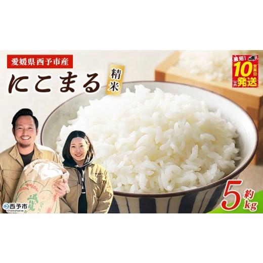 ふるさと納税 米 にこまる 愛媛県 西予市 令和7年産 西予市産 にこまる 精米 約5kg ニコマル お米 米 コメ こめ 白米 国産米 単一原料米 ご飯 5キロ お弁当 …