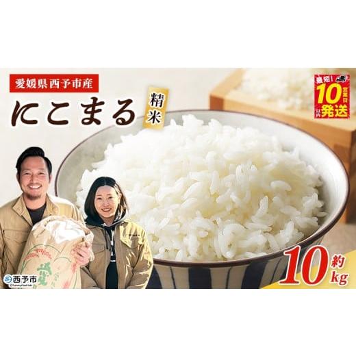 ふるさと納税 米 にこまる 愛媛県 西予市 令和7年産 西予市産 にこまる 精米 約10kg ニコマル お米 米 コメ こめ 白米 国産米 単一原料米 ご飯 10キロ お弁当…