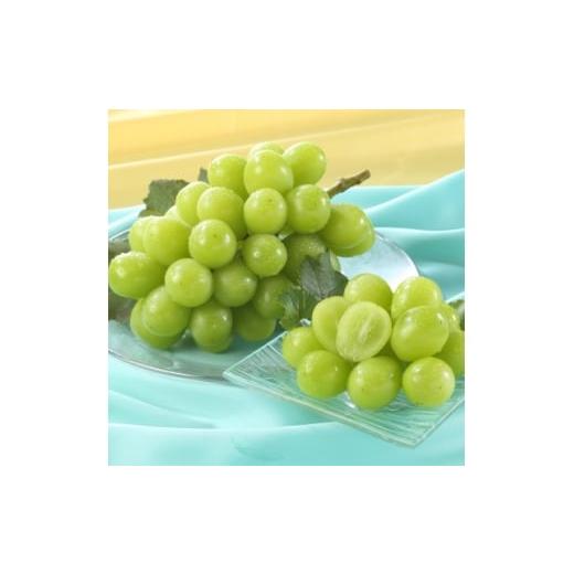 ふるさと納税 ぶどう 岡山県 津山市 岡山県産 秋のシャインマスカット 1房 冷蔵 2026年発送 1709333