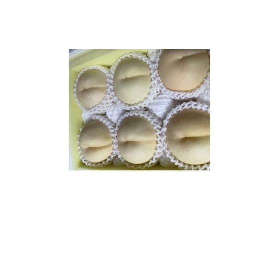 ふるさと納税 もも 岡山県 津山市 先行予約・2026年9月上旬頃より発送予定 しっかりした果肉と果汁たっぷり岡山の白桃(2kg箱) 1711993