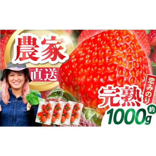 ふるさと納税 いちご 長崎県 南島原市 4月配送 南島原産 いちご 「恋みのり」約250g×2パック / イチゴ 苺 フルーツ 果物 / 南島原市 / あゆみfarm SFF006…