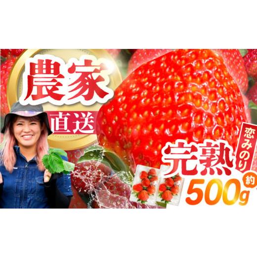 ふるさと納税 いちご 長崎県 南島原市 5月配送 南島原産 いちご 「恋みのり」 約250g×4パック / いちご イチゴ イチゴ フルーツ 果物 イチゴ 苺 ichigo str…