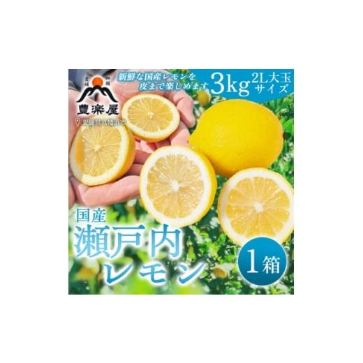 ふるさと納税 みかん・柑橘類 レモン 愛媛県 八幡浜市 防腐剤・ワックス不使用で安心 真穴産地直送の国産レモン 3kg(2Lサイズ 大玉) C98-7 1711280