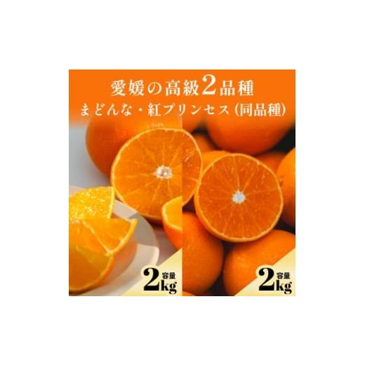 ふるさと納税 みかん・柑橘類 愛媛県 八幡浜市 発送月固定定期便 高級2品種 まどんな+紅プリンセスと同品種(愛果48号) F70-168 全2回 4081971