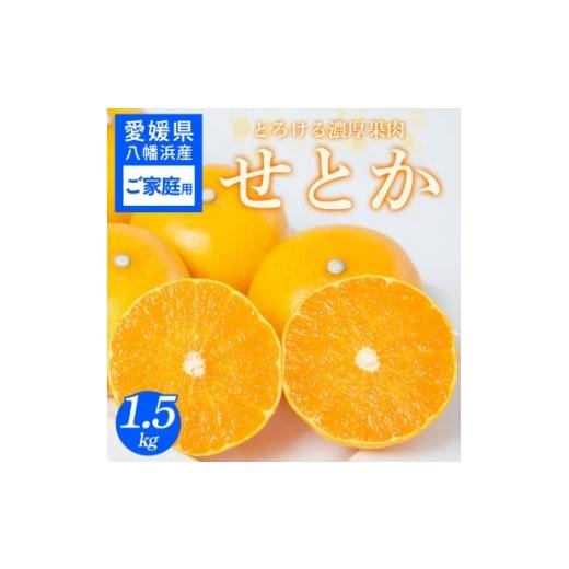 ふるさと納税 みかん・柑橘類 愛媛県 八幡浜市 ご家庭用 せとか 1.5kg みかん 愛媛県 八幡浜産市 西宇和地区 柑橘の女王 C25-299 1713013