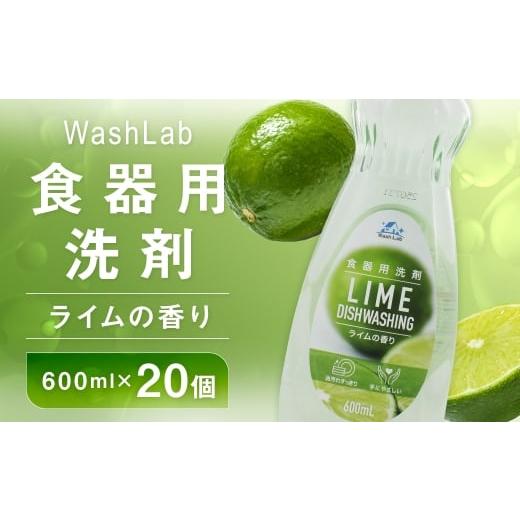 ふるさと納税 雑貨・日用品 福岡県 嘉麻市 中性洗剤 WashLab 食器用洗剤 ライムの香り 本体 600ml×20個 生活用品 生活雑貨 雑貨 日用品 洗剤 食器 食器用