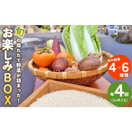 ふるさと納税 セット・詰合せ 愛媛県 西予市 旬の採れたて野菜が詰まったお楽しみBOX(3か月ごと年4回の定期便) 西予市遊子川産 農家さんの顔が見える野菜 …