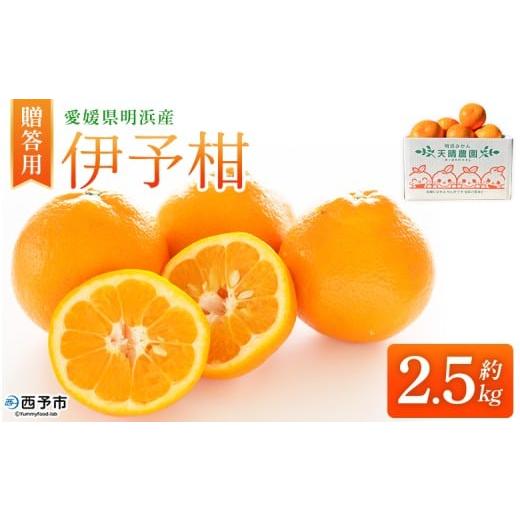 ふるさと納税 みかん・柑橘類 愛媛県 西予市 伊予柑 贈答用 約2.5kg ギフト いよかん イヨカン みかん 蜜柑 柑橘 果物 くだもの フルーツ ミカン 愛媛 国産 2…