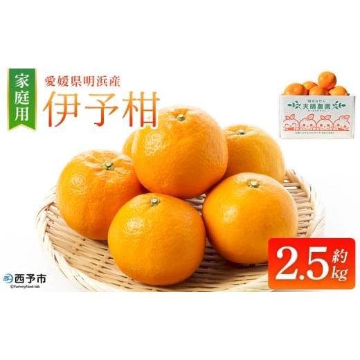 ふるさと納税 みかん・柑橘類 愛媛県 西予市 伊予柑 家庭用 約2.5kg ご家庭用 いよかん イヨカン みかん 蜜柑 柑橘 訳あり 果物 くだもの フルーツ ミカン 愛…