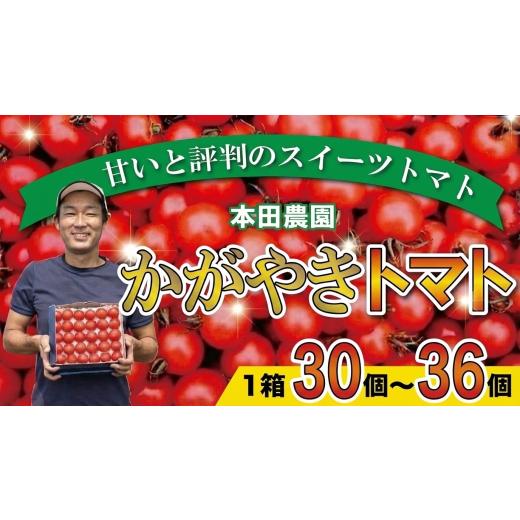 ふるさと納税 野菜類 トマト 石川県 小松市 2026年 先行予約 人気のスイーツトマト 本田農園のかがやきトマト1箱(約30個〜36個)とまと 甘い 野菜
