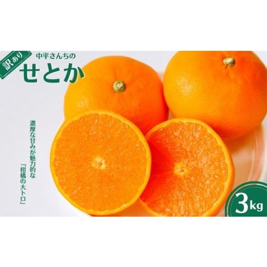 ふるさと納税 みかん・柑橘類 愛媛県 愛南町 訳あり せとか 3kg 柑橘 みかん 蜜柑 フルーツ 人気 甘い ジューシー 産地直送 国産 農家直送 期間限定 数量限定…