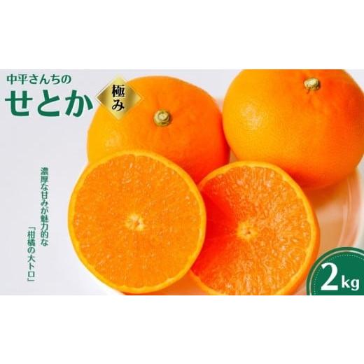 ふるさと納税 みかん・柑橘類 愛媛県 愛南町 せとか せとか 極み 2kg 柑橘 みかん 蜜柑 フルーツ 人気 甘い ジューシー 産地直送 国産 農家直送 期間限定 数…
