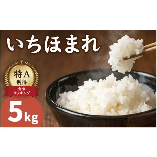 ふるさと納税 米 福井県 南越前町 先行予約 令和8年産 新米 農家直送 減農薬・化学肥料不使用 いちほまれ 5kg×1袋 2026年10月中旬より順次発送 |特別栽培米…