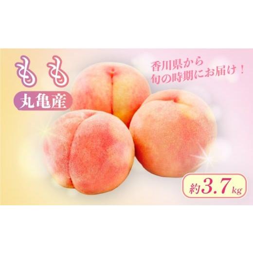 ふるさと納税 もも 香川県 丸亀市 先行予約 桃 約3.7kg 飯南の桃 フルーツ 果物 果実 モモ プレゼント ギフト スイーツ デザート ケーキ ジュース ゼリー ア…