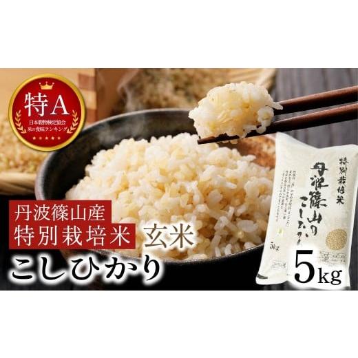 ふるさと納税 米 コシヒカリ 兵庫県 丹波篠山市 令和7年産 [特Aランク]丹波篠山産こしひかり 玄米5kg[特別栽培米・減農薬]自家製堆肥で土づくり 兵庫県丹…