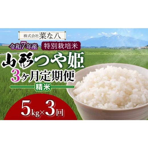 ふるさと納税 米 つや姫 山形県 鶴岡市 令和7年産 定期便 特別栽培米 山形つや姫 精米 5kg(5kg×1袋)×3ヶ月 山形県鶴岡市産 株式会社菜な八(鶴岡ファーマ…
