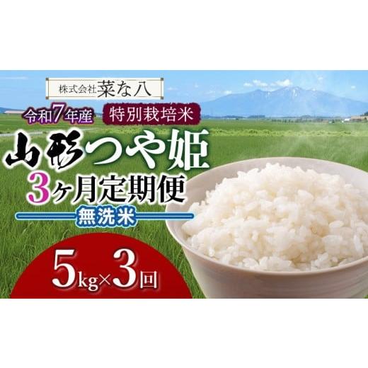 ふるさと納税 米 つや姫 山形県 鶴岡市 令和7年産 定期便 特別栽培米 山形つや姫 無洗米 5kg(5kg×1袋)×3ヶ月 山形県鶴岡市産 株式会社菜な八(鶴岡ファー…