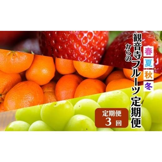 ふるさと納税 いちご 香川県 観音寺市 2026年受付 観音寺市からの特産フルーツ 定期便 年間3回