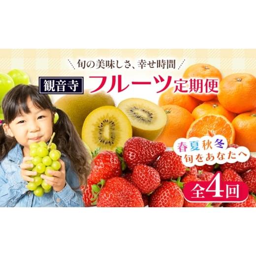 ふるさと納税 いちご 香川県 観音寺市 2026年受付 観音寺市からの特産フルーツ 定期便 年間4回
