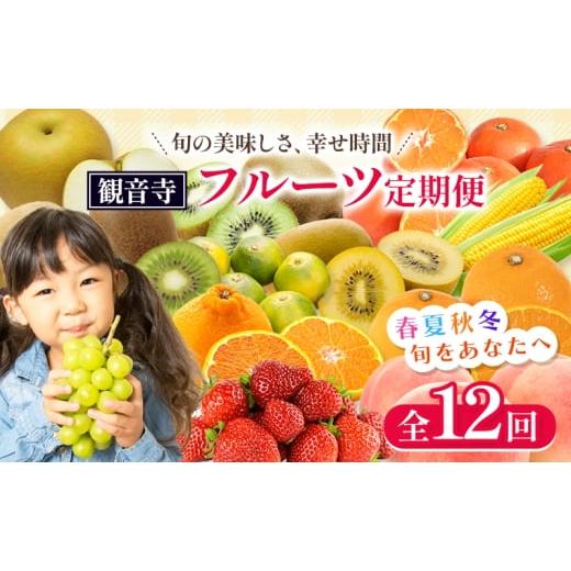 ふるさと納税 ぶどう マスカット 香川県 観音寺市  2026年受付 観音寺からのフルーツ定期便 年12回_1