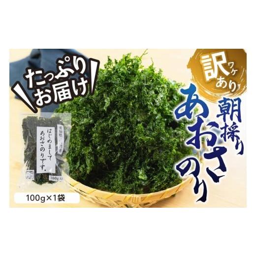 ふるさと納税 乾物 海藻 愛知県 田原市 訳あり あおさ 100g 簡易包装 愛知県 三河湾産 「はじめまして あおさのり です。 あおさ海苔 海苔 味噌汁 みそ汁 具 …