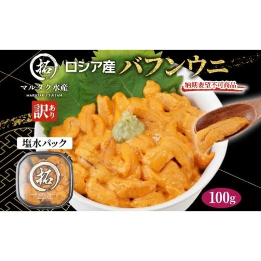 ふるさと納税 ウニ 北海道 厚岸町 納期指定・不在対応不可 訳あり ロシア産 バフンウニ 塩水パック 100g×1 雲丹 ウニ うに 新鮮 海産物 冷蔵 濃厚 甘い No.58…