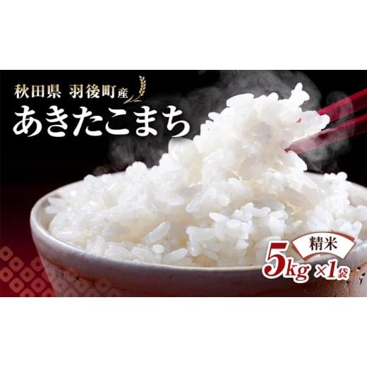 ふるさと納税 米 あきたこまち 秋田県 羽後町 秋田県 羽後町産 あきたこまち 精米 5kg×1袋 米 お米 白米 精米 アキタコマチ 美味しい 秋田 羽後