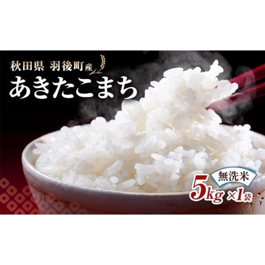 ふるさと納税 無洗米 秋田県 羽後町 秋田県 羽後町産 あきたこまち 無洗米 5kg×1袋 米 お米 白米 精米 アキタコマチ 美味しい 秋田 羽後