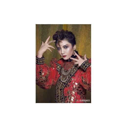 ふるさと納税 入場券・優待券 兵庫県 宝塚市 公演チケットS席(月組:RYOFU) 4月15日(水) 15時半公演