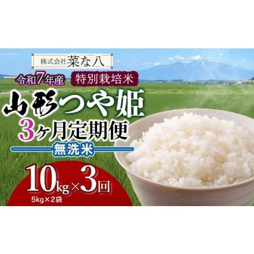 ふるさと納税 米 つや姫 山形県 鶴岡市 令和7年産 定期便 特別栽培米 山形つや姫 無洗米 10kg(5kg×2袋)×3ヶ月 山形県鶴岡市産 株式会社菜な八(鶴岡ファ…