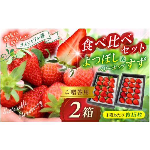 ふるさと納税 いちご 岡山県 真庭市 贈答用 高級いちご よつぼし すず 食べ比べセット (15粒 × 2箱) ゆりかご入り / いちご イチゴ ストロベリー 苺 食べ…