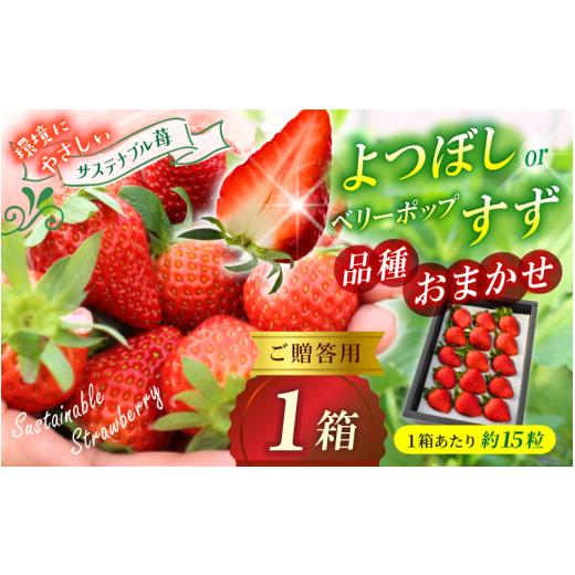 ふるさと納税 いちご 岡山県 真庭市 贈答用 高級いちご よつぼし すず 品種おまかせセット (15粒 × 1箱) ゆりかご入り / いちご イチゴ ストロベリー 苺 …