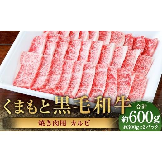 ふるさと納税 牛肉 焼肉・バーベキュー 熊本県 あさぎり町 くまもと黒毛和牛 焼き肉用カルビ 計約600g(約300g×2パック) 黒毛和牛 和牛 牛肉 牛 肉 にく ニ…