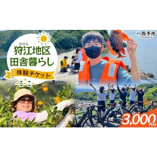ふるさと納税 体験チケット 愛媛県 西予市 狩江地区田舎暮らし体験チケット(3,000円分) 田舎 体験 自然 旅 旅行 トラベル 観光 レジャー アウトドア アクテ…