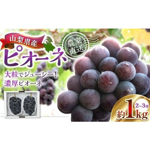 ふるさと納税 果物類 ぶどう 山梨県 中央市 山梨県産ピオーネ 約1kg ピオーネ 葡萄 ブドウ ぶどう フルーツ くだもの 果物 果実 濃厚 大粒 国産 山梨県産 2026…