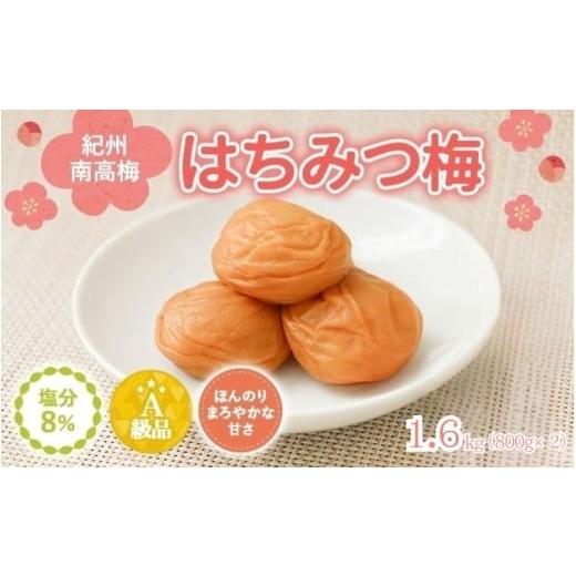 ふるさと納税 加工品等 梅干 和歌山県 田辺市 紀州南高梅 はちみつ入まろやか特選梅(塩分約8%)1.6kg (800g×2) / 田辺市 紀州南高梅 南高梅 梅干し 梅…