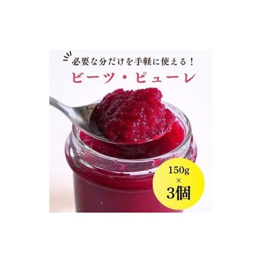 ふるさと納税 野菜類 加工品 長野県 飯田市 ビーツ ピューレ 150g × 3個 | 加工品 瓶詰 野菜 ビーツ ピューレ ビーツピューレ 長野県 信州 南信州 飯田市