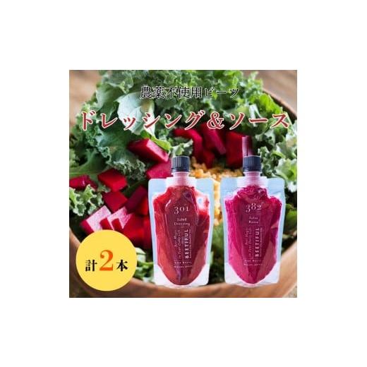 ふるさと納税 野菜類 加工品 長野県 飯田市 301 サラダ・ドレッシング 382 サルサ・ロッサ 各1本 | 加工品 野菜 健康 サラダ ドレッシング ソース 長野県 信州…