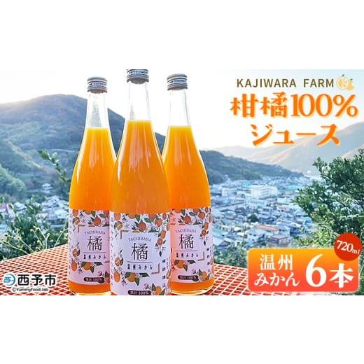 ふるさと納税 果汁飲料 みかん 愛媛県 西予市 柑橘100%ジュース (温州みかん6本) 温州みかん ストレートジュース 果汁100% ミカン 蜜柑 果物 柑橘 かじわ…