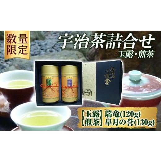 ふるさと納税 お茶類 緑茶(茶葉・ティーバッグ) 京都府 宇治市 数量限定 宇治茶 玉露「瑞竜」・煎茶「皐月の誉」詰合せ(2種・各1) uj-FO002 北岡園