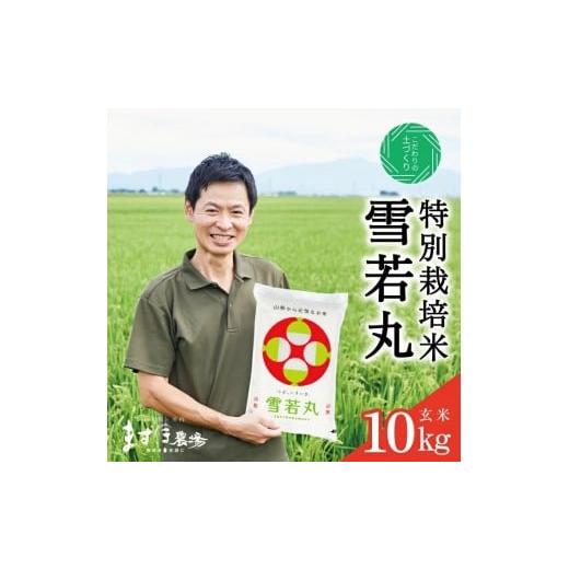 ふるさと納税 玄米 山形県 酒田市 令和7年産 玄米 つや姫マイスターが作った 特別栽培米『雪若丸』10kg(5kg×2袋)[減農薬・減化学肥料] MA