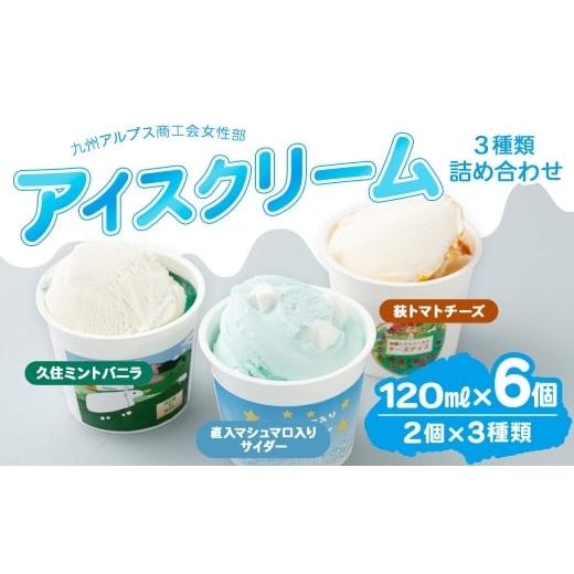 ふるさと納税 菓子 アイス 大分県 竹田市 九州アルプス商工会女性部アイスクリーム 計6個入(各種2個入) 久住ミントバニラ 直入マシュマロ入りサイダー 荻ト…
