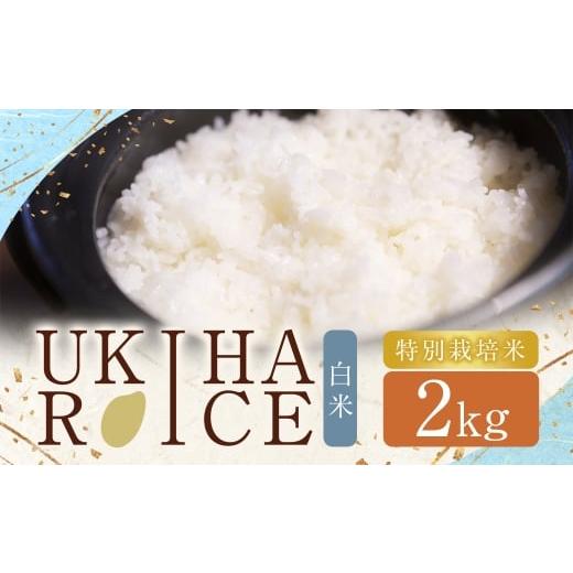 ふるさと納税 米 ヒノヒカリ 福岡県 うきは市 UKIHA RICE 白米2kg(特別栽培米) 白米 精米 栽培米 お米 米 ご飯 主食 白飯 ヒノヒカリ 福岡県 うきは市 2025…