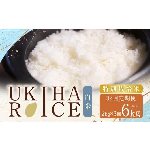 ふるさと納税 米 ヒノヒカリ 福岡県 うきは市 3ヶ月定期便 みずほファーム UKIHA RICE 白米2kg×3回 計6kg(特別栽培米) 白米 精米 栽培米 お米 米 ご飯 主…